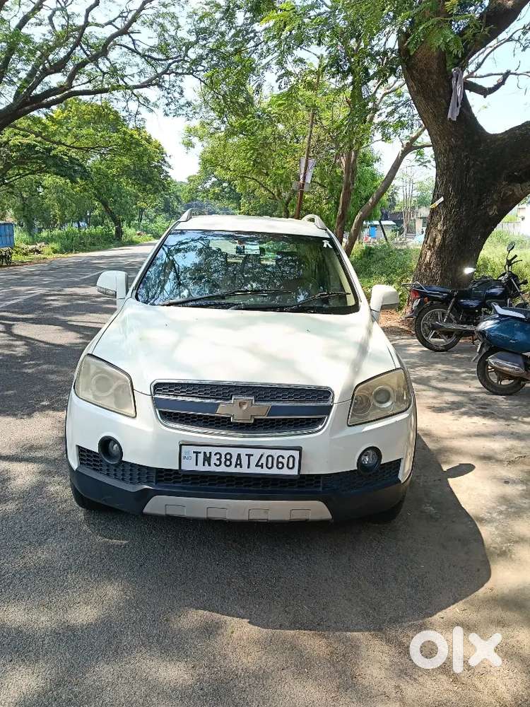Good Condition White Beauty
