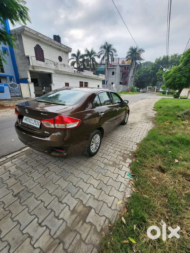 Maruti Suzuki Ciaz 2015 Diesel