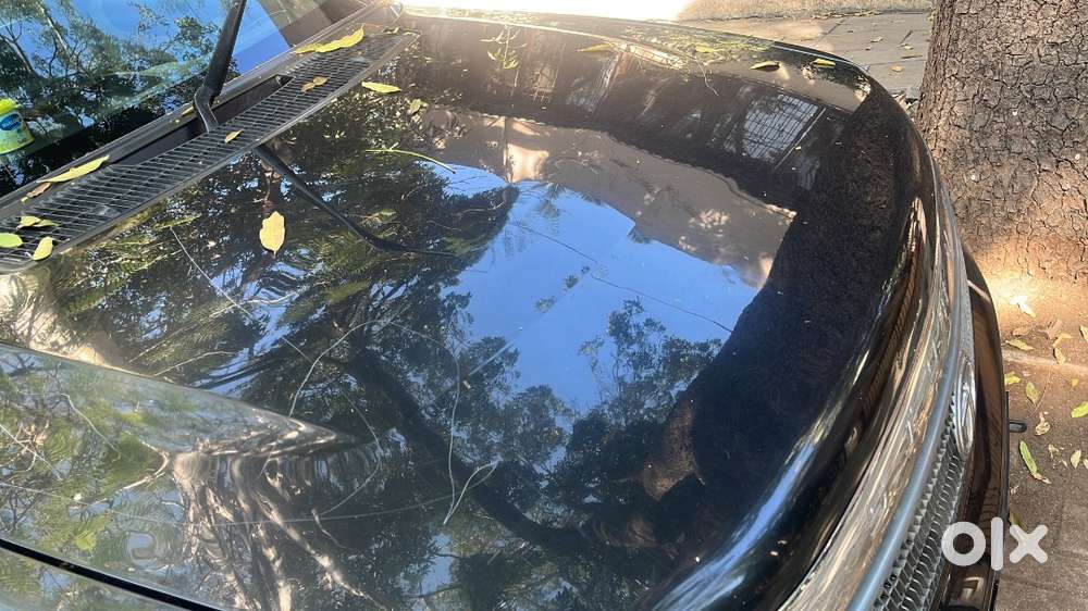 Safari Storme For Sell