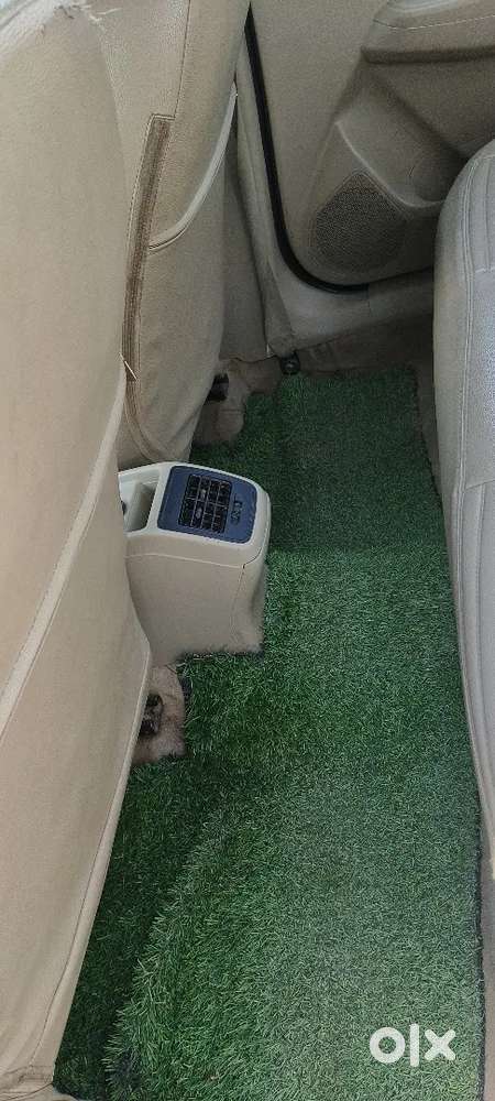 Maruti Suzuki Dzire 2020