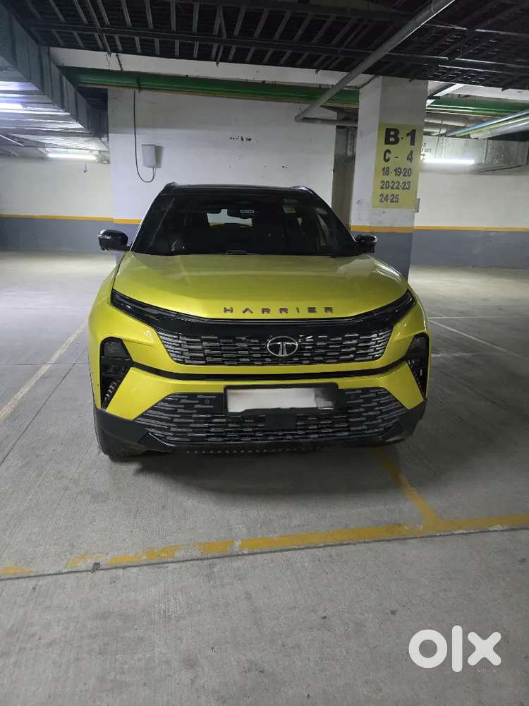 Tata Harrier 2024 Diesel 12000 Km Driven