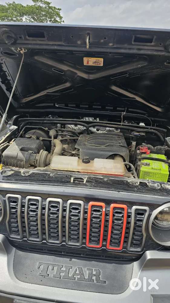 Mahindra Thar.e 2022 Year