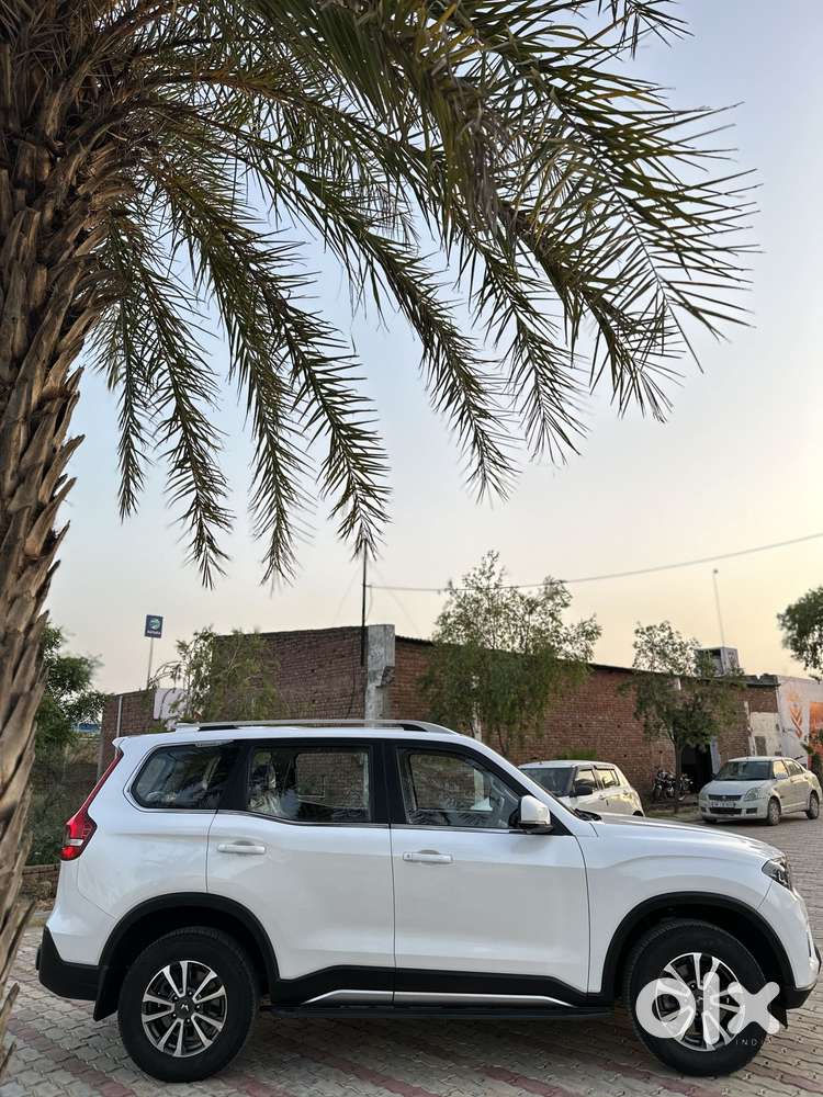 Mahindra Scorpio N Z8 Diesel Mt 2wd 6 Str, 2025, Diesel