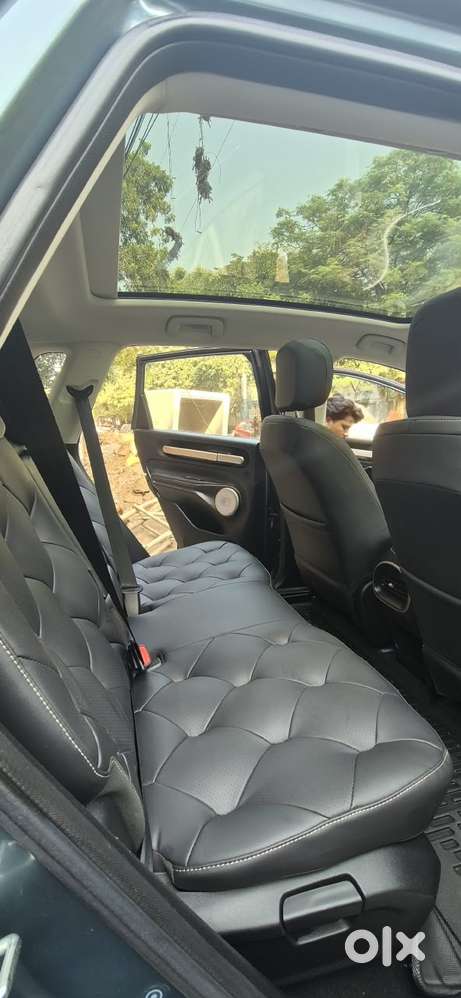 Mg Windsor Ev Essence Pro, 2025, Electric