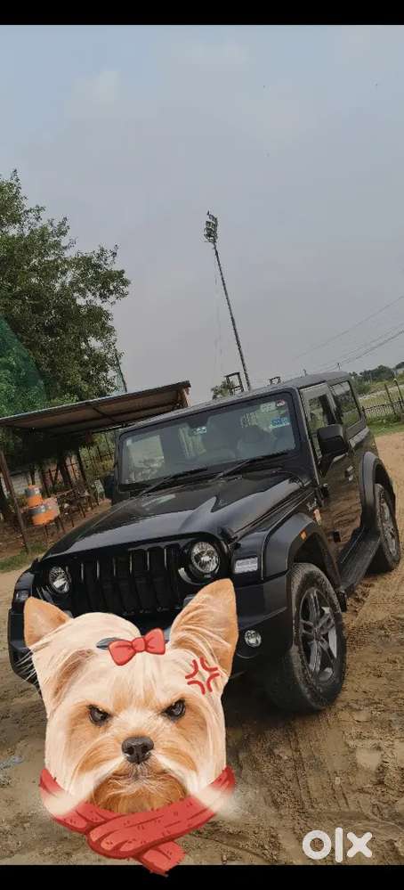 Mahindra Thar Lx Diesel 2022 90000 Km