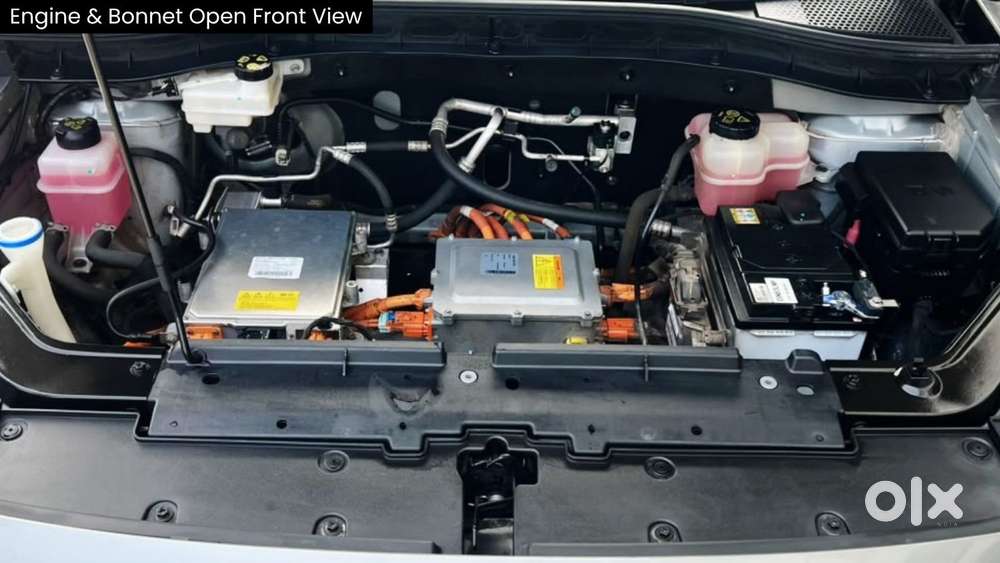 Mg Zs Ev Exclusive, 2024, Petrol