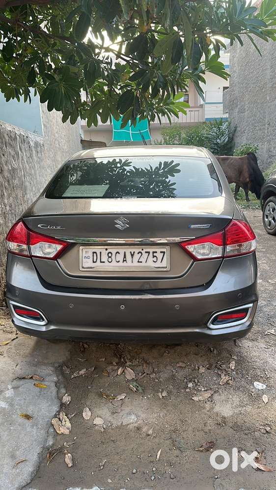 Maruti Suzuki Ciaz 2019