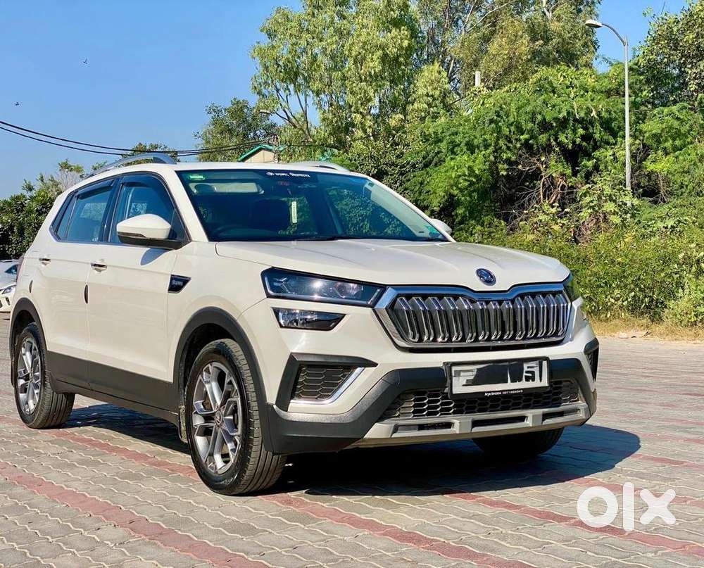Skoda Kushaq 2022 Petrol Well Maintained