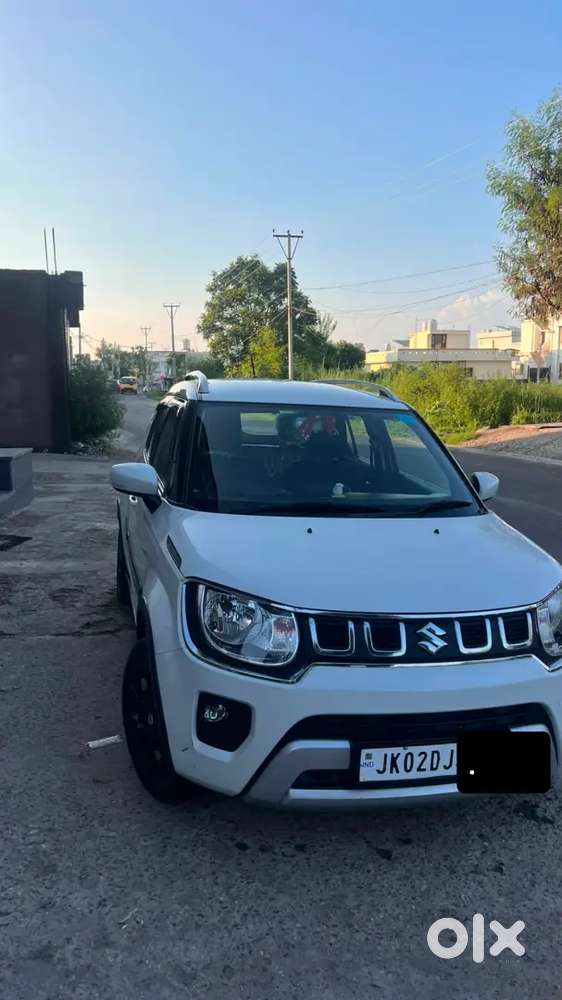 Maruti Suzuki Ignis 2024 Petrol Amt