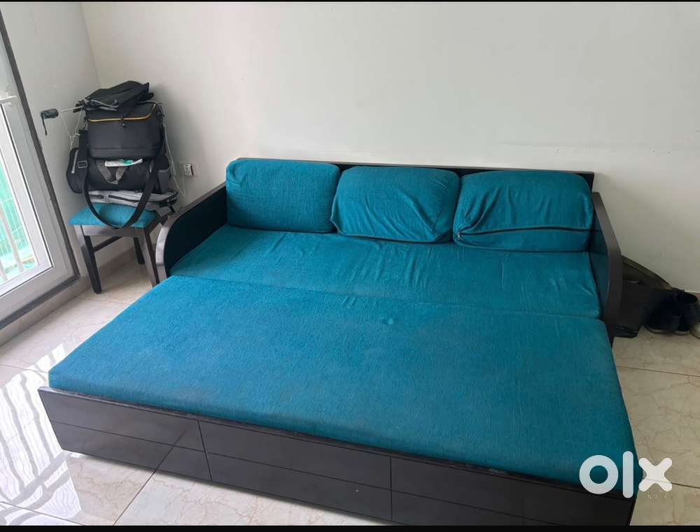 Sofa Cum Bed