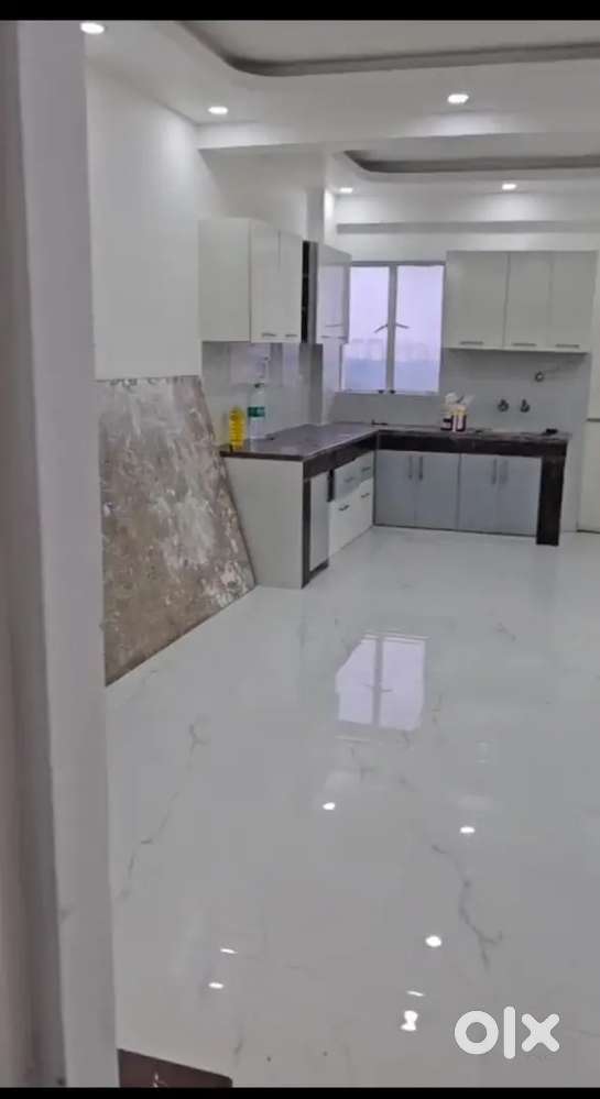 1 bhk flat on rent