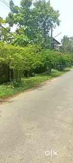 20 CENT ORGINAL LAND FOR SALE IN NORTH PARAVUR  TOWN