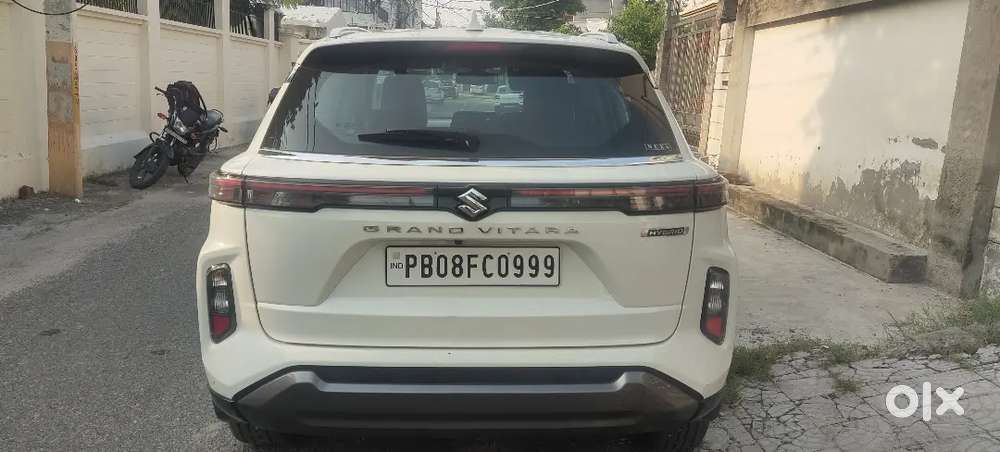 Maruti Suzuki Grand Vitara 2023 Petrol Well Maintained