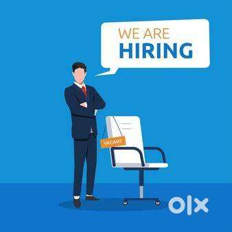 FRESHER JOB VACANCY