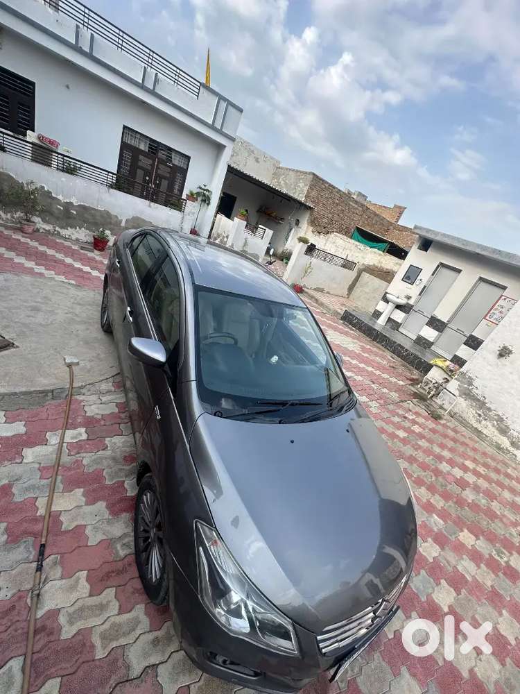 Maruti Suzuki Ciaz 2016 Diesel