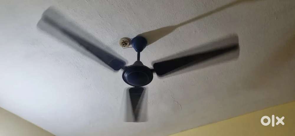 Orient Ceiling fans set of 2 in Warranty 1.5 years