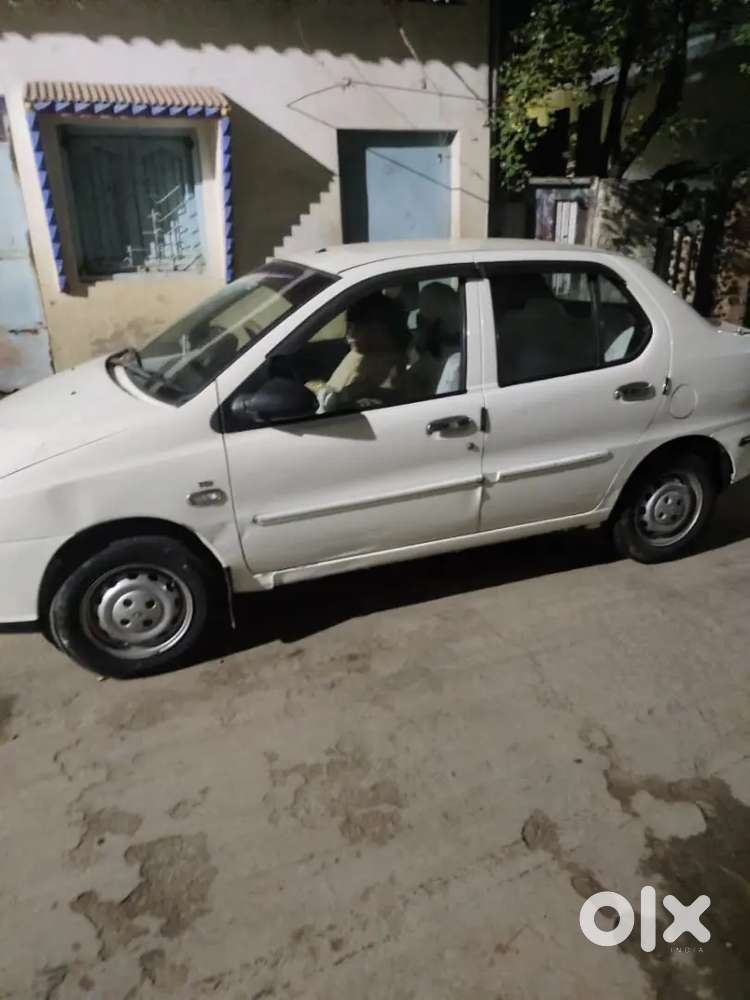 Indigo For Sale