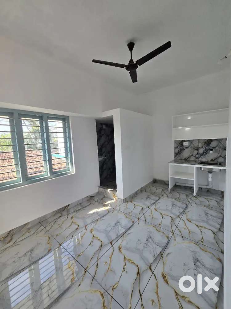 1RK 1BOY RENT 8K INFOPARK 1KM - For Rent: Houses & Apartments in ...