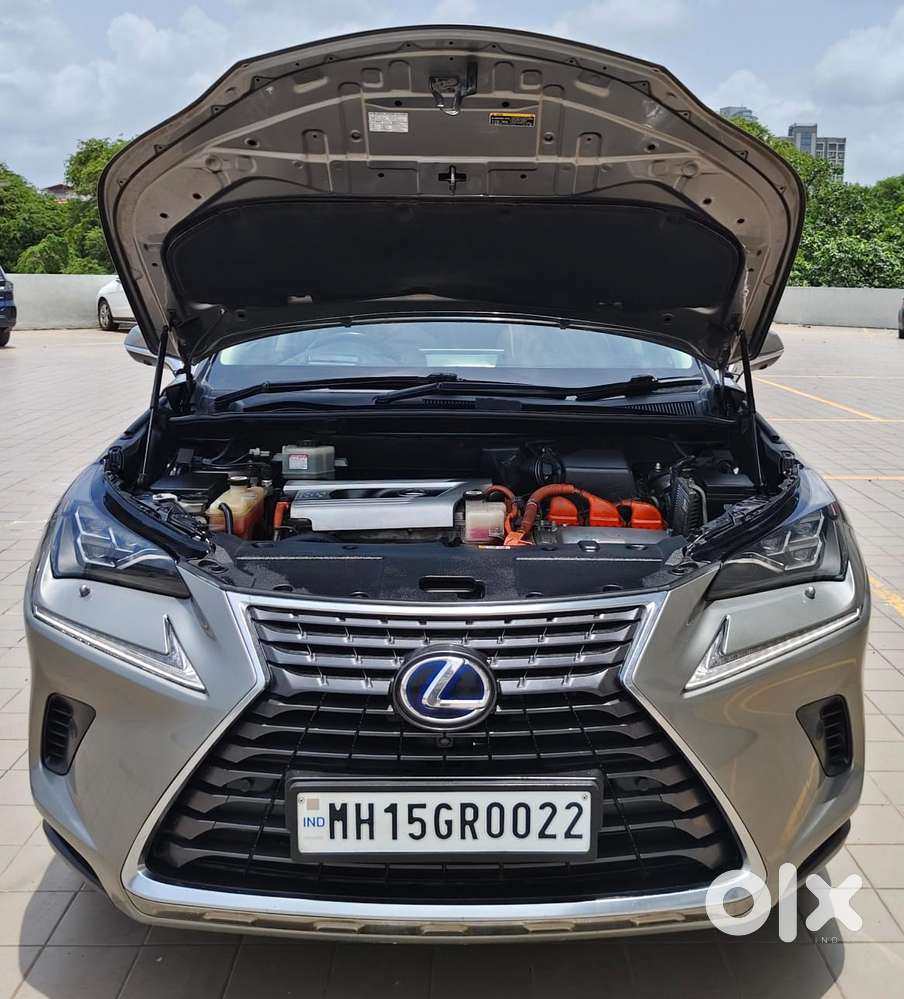 Lexus Nx Lexus-nx-300h-luxury, 2019, Petrol