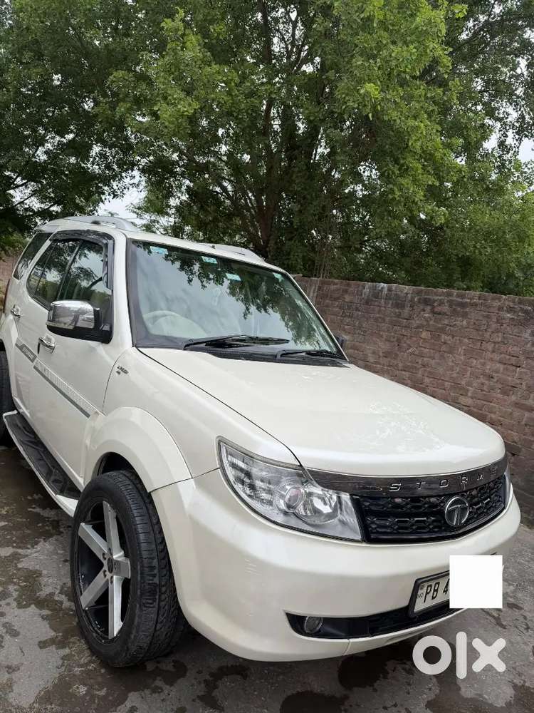 Safari Storme