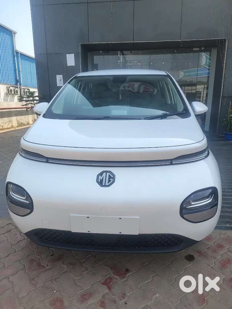 Mg Windsor Ev 2026 Electric 100 Km Driven