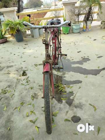 Old cheap bicycle olx