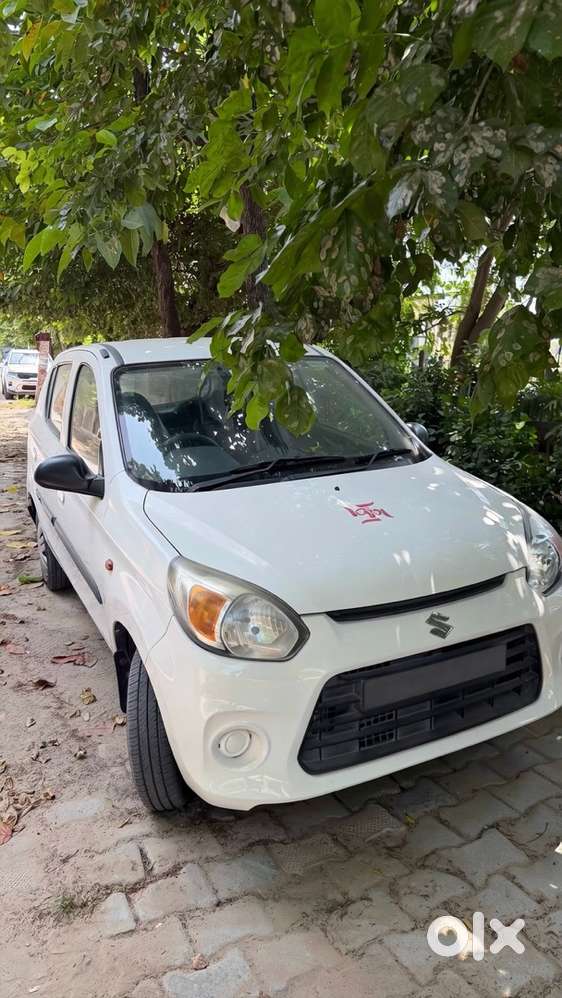 Maruti Suzuki 800 Manual 2017