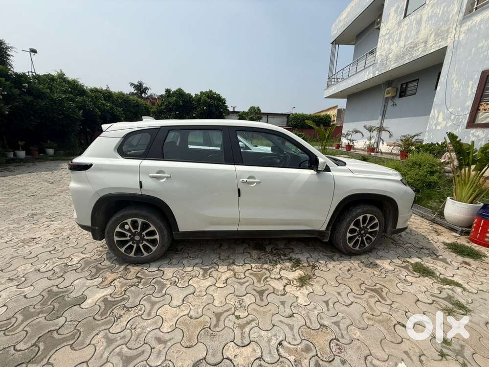 Maruti Suzuki Grand Vitara 2023 Petrol Well Maintained