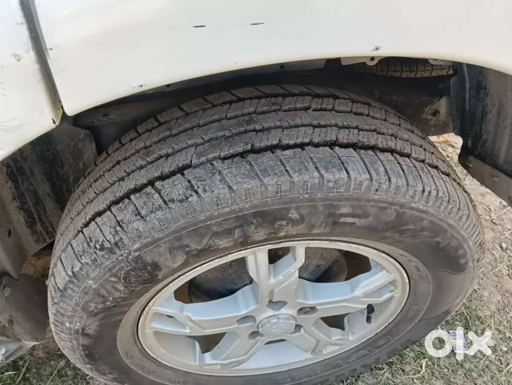 5 Trye New Child Ace Only Gate Me Thoda Sa Kam Hi