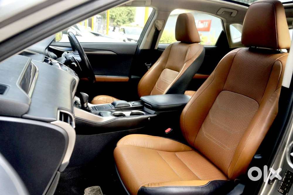 Lexus Nx Lexus-nx-300h-luxury, 2019, Petrol