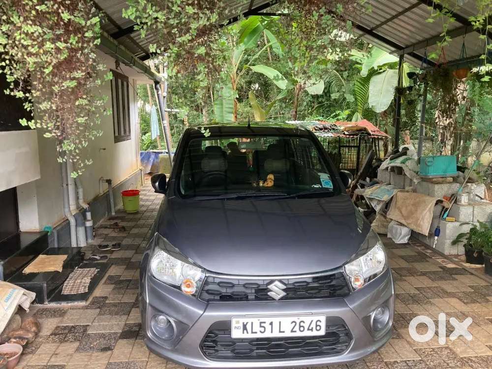 Celerio 2019 Single Owner