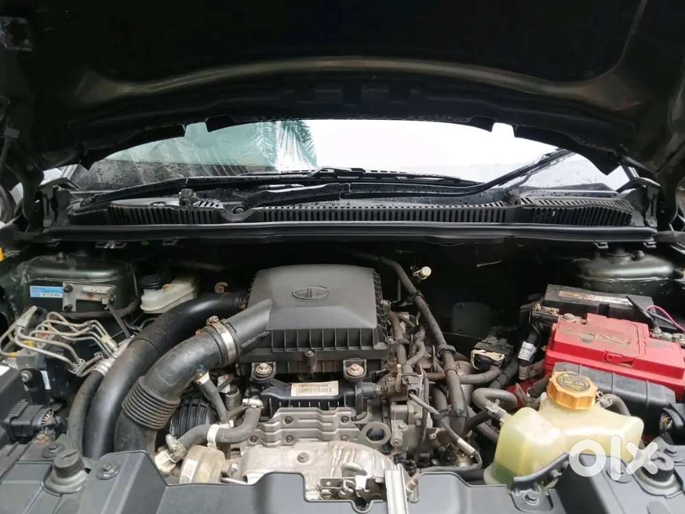 Tata Nexon 2021 Xm  Petrol  Very Less Driven