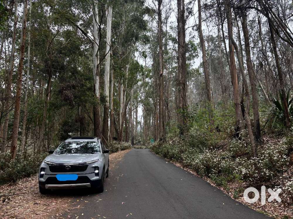 Tata Safari 2025 Diesel Well Maintained