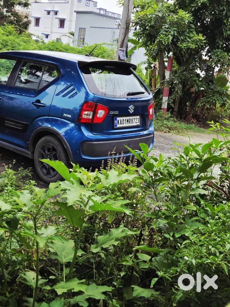 Maruti Suzuki Ignis 2018 Petrol Well Maintained