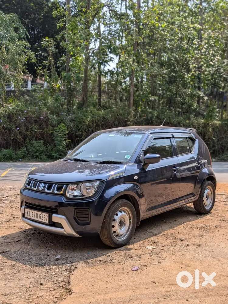 3 Company Service And No Accident History