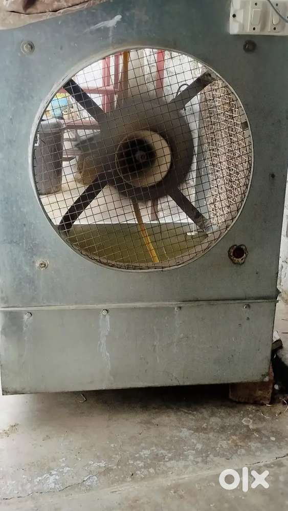 Cooler one year old