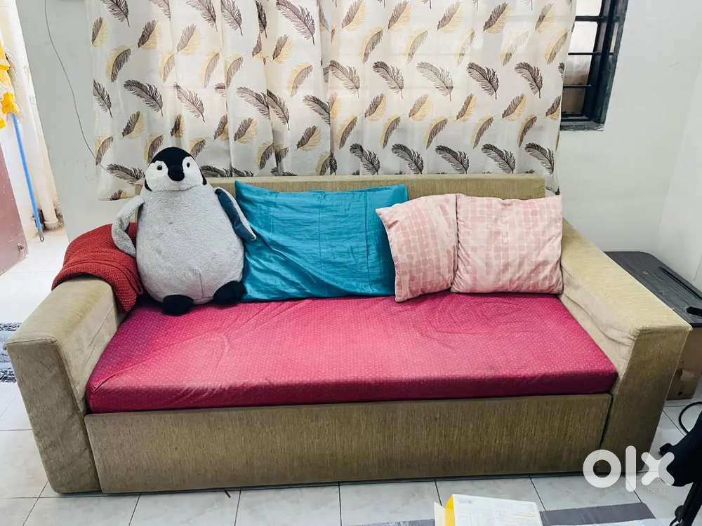 Sofa cum bed