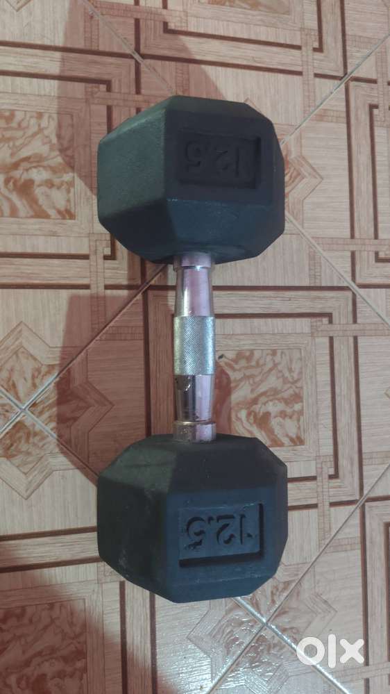 12.5 kg Hex Dumbell
