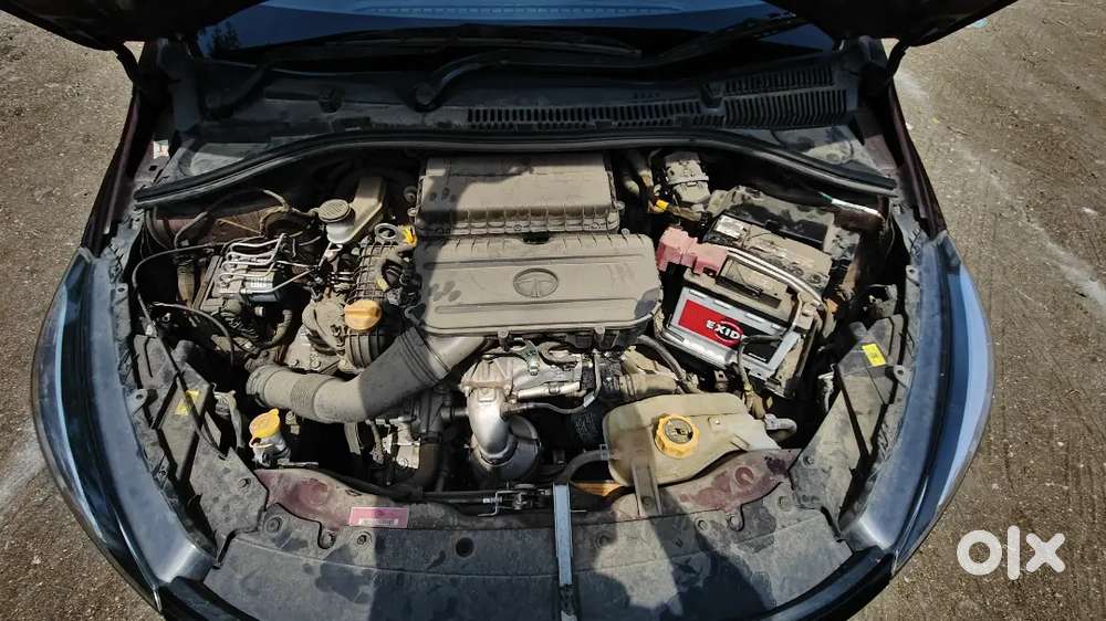 Tata Tigor 2023 Cng & Hybrids 23000 Km Driven