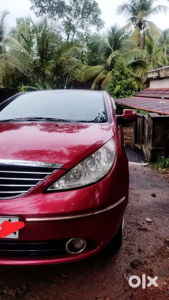 Cherry Red Indica Vista 2013 Model
