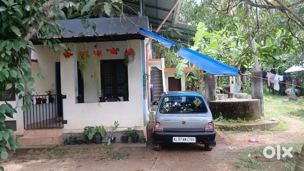 Maruti Suzuki 800 Mpfi Ac 2003 Petrol Well Maintained
