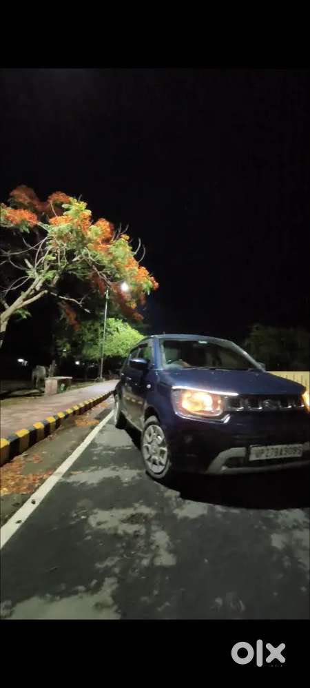 Maruti Suzuki Ignis Petrol 2021