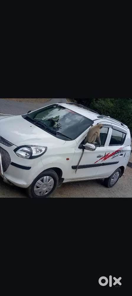 Maruti Suzuki Alto 2014
