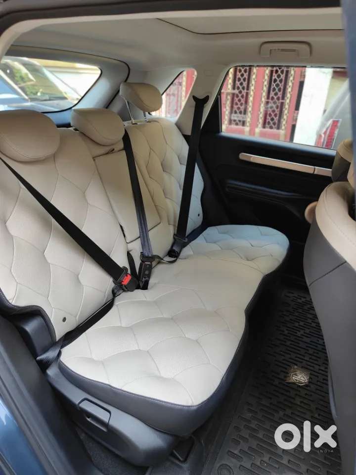 Mg Windsor Ev, 2026, Electric