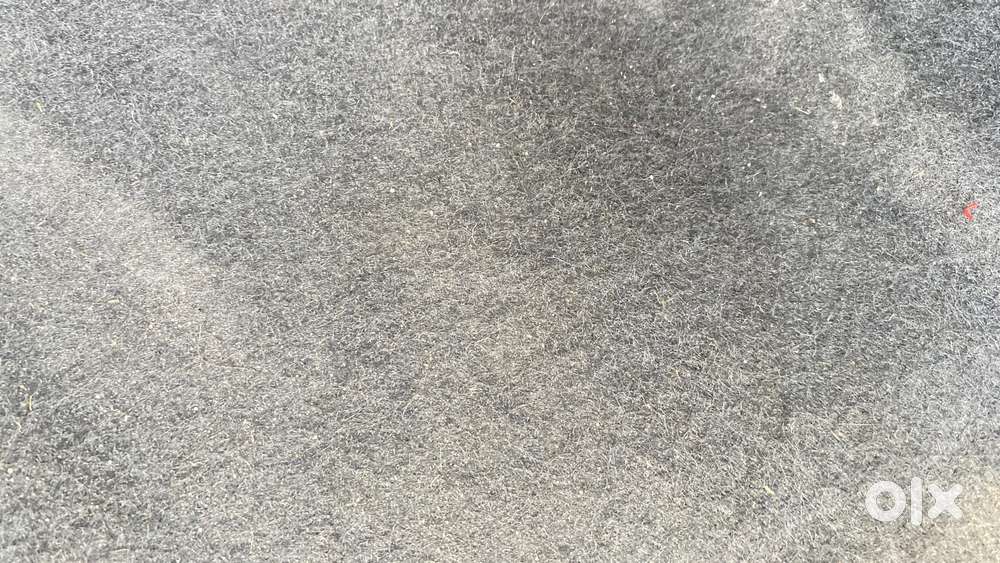Hyundai Xcent [2014-2017] 1.2 S, 2015, Petrol