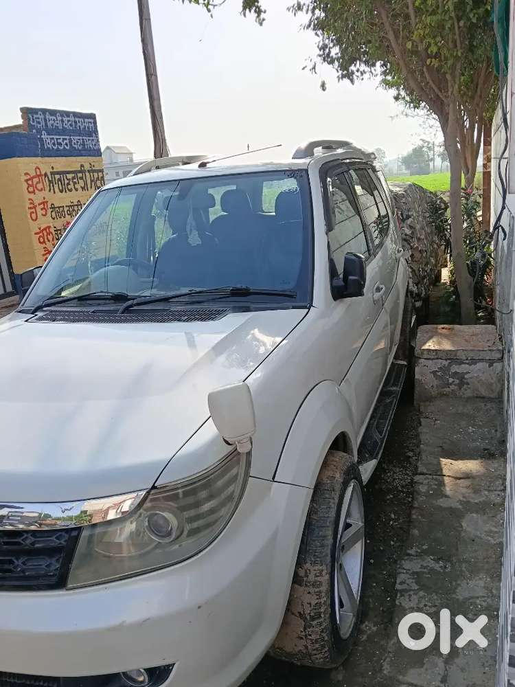 Punjab Moga
