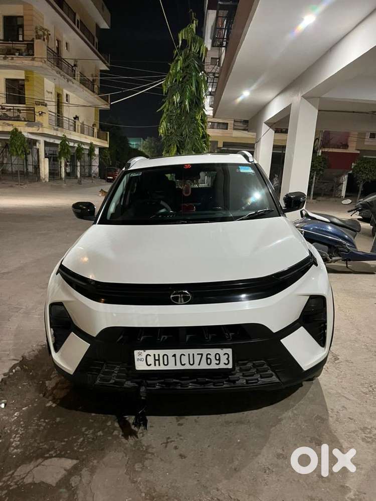 Tata Nexon 2024 Petrol Well Maintained