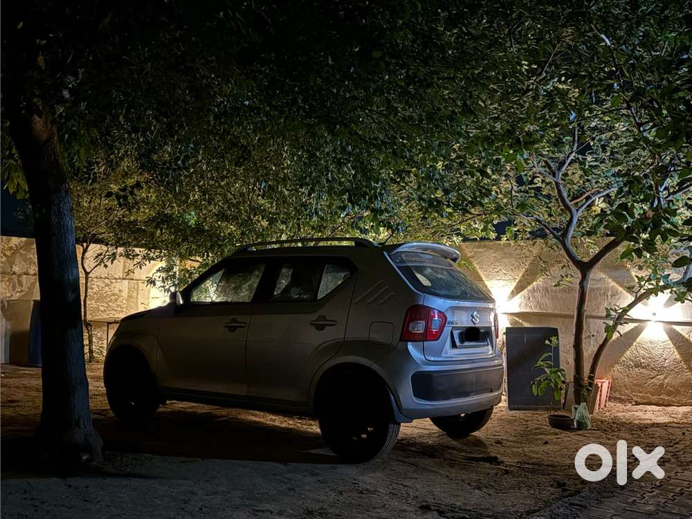 Maruti Suzuki Ignis 2018 Silver