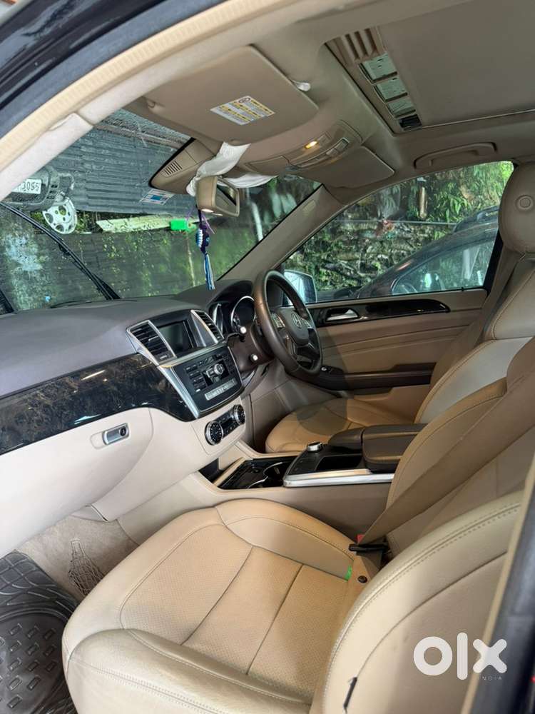 2013 Mercedes-benz Ml 250