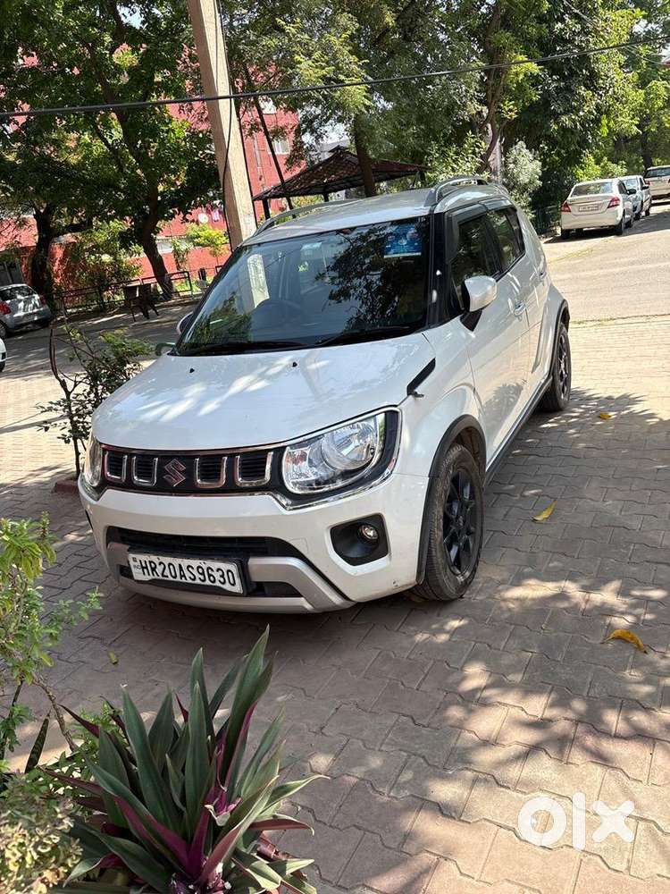 Maruti Suzuki Car 2021